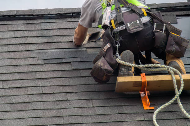 Best Storm Damage Roof Repair  in Jackson, WY