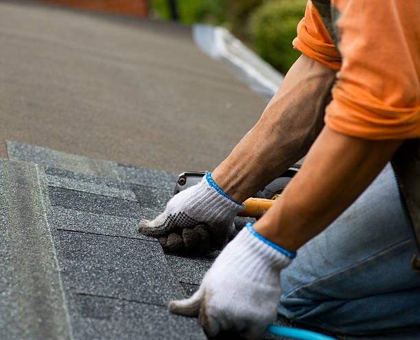 Best Slate Roofing Contractor  in Jackson, WY